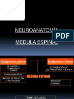 Medula Espinal