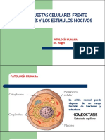 3. Adaptación celular (pag. 68).pdf