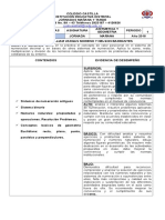 DESEMPENOS DE SEXTO MATEMATICAS2018 william colegio castilla (1).pdf.doc