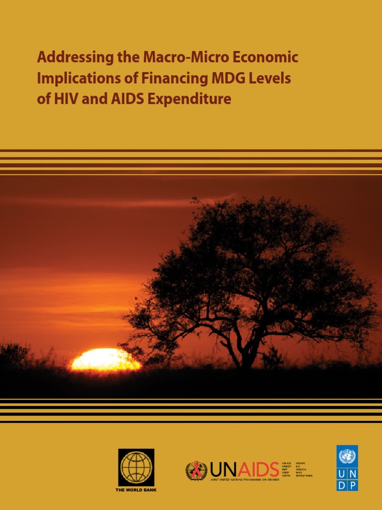 Economic Impact of HIV Financing Strategies | PDF | Aids | Millennium ...