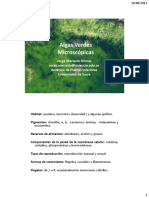 05 - Algas Verdes I PDF
