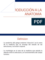 Anatomia