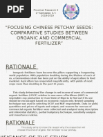 Focusing Chinese Petchay Seeds