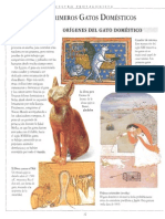 Manual cuidado del gato