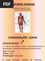 resenha-teoria-clu00e1ssica