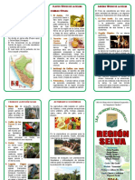 234264002-Triptico-Region-Selva.doc