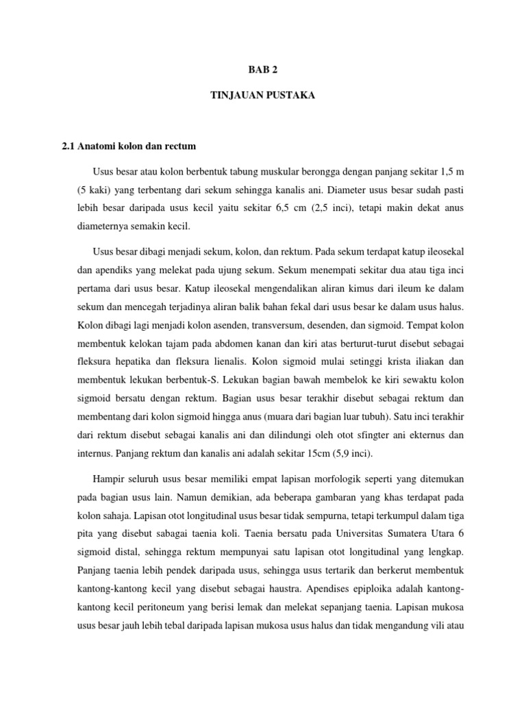 Sistem Pencernaan Tinja Fungsi Kolon