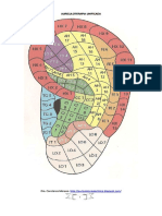 Auriculoterapia Unica
