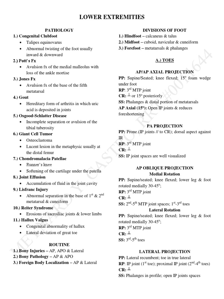 Lower Extremities | PDF | Knee | Foot