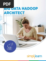 Big Data Hadoop Architect