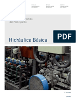Curso de Hidráulica Básica - TERNIUM.pdf
