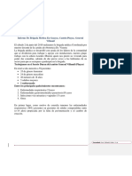 brigada 1 (1).docx