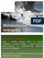 Metab Energetic