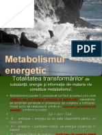 Metab Energetic2010
