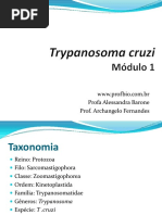 parasito_pos_01 chagas.pdf