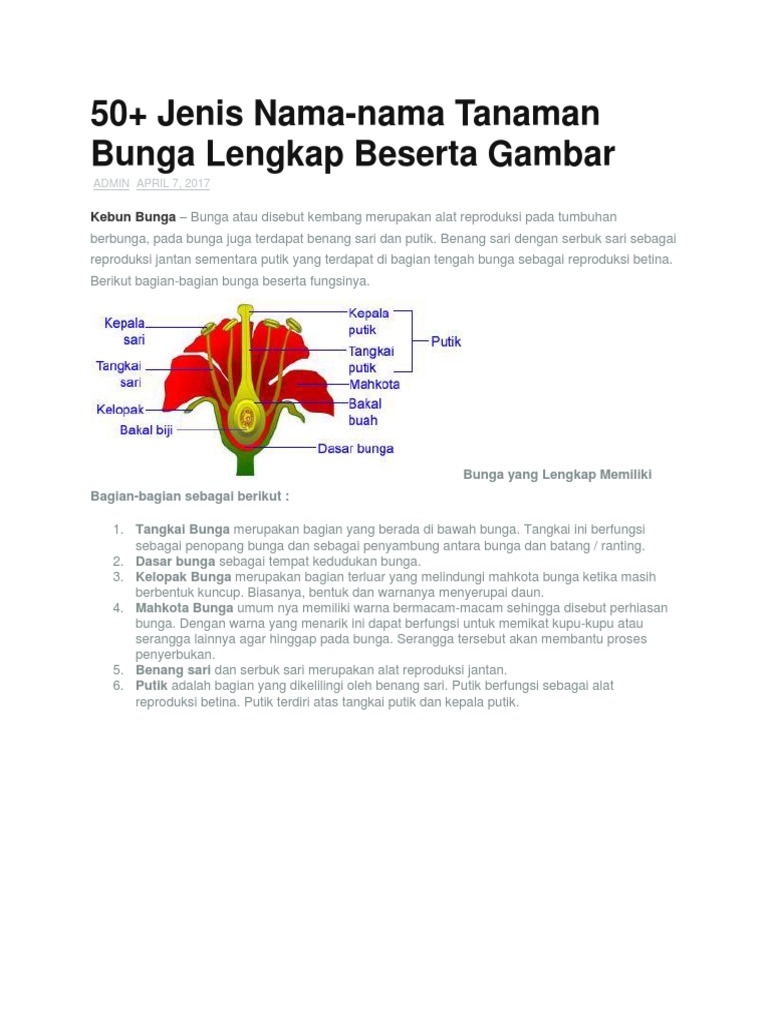 50 Jenis Nama Nama Tanaman Bunga Lengkap Beserta Gambar Pdf