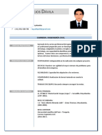 Nelson Vallejos Davila - CV PDF