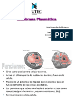 2 Membrana Plasmatica.ppt