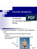 Anatomi Umum.ppt