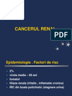 Cancerul Renal