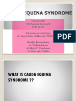 Cauda Equina Syndrome