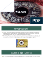 El Ojo.pptx