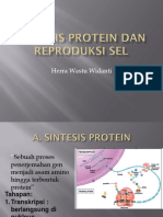 Sintesis Protein Dan Reproduksi Sel