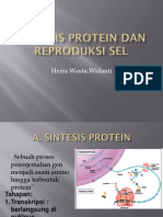 Protein dan Pembelahan Sel