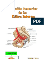 Iliaca Interna Posterior