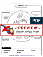 Animal Cell Components and Functions