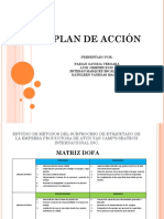 Plan de Acción