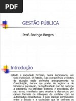 Rodrigo Borges - Gestão Pública