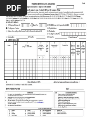 Form Ui 19 Declaration Of Information Of Commercial Employees And Workers Employed In A Private Household Pdf Pdf Payroll Employment