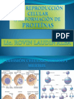 DE LA SINTESIS DE PROTEINAS A LA FORMACION DE PROTEINAS