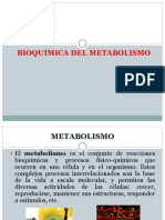 Clase Metabolismo de Carbohidratos