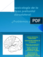 Neuropsicología de La Corteza Prefrontal Dorsolateral