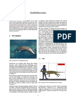 Ambulocetus.pdf