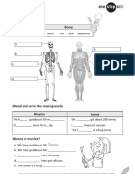CLIL - Science _ Muscles and bones.pdf