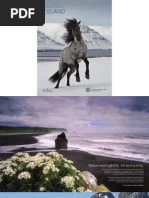 Download Ice Land 2009 by madalina_21 SN38711942 doc pdf