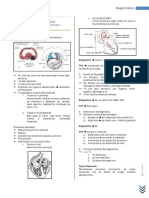 02 Resumen Patología Quirúrgica del Diafragma.pdf