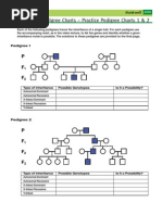 Download Practice Pedigree Chart by Kari Kristine Hoskins Barrera SN38713692 doc pdf