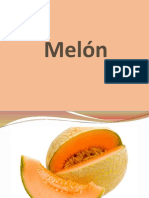 Diapositiva Melon.pptx