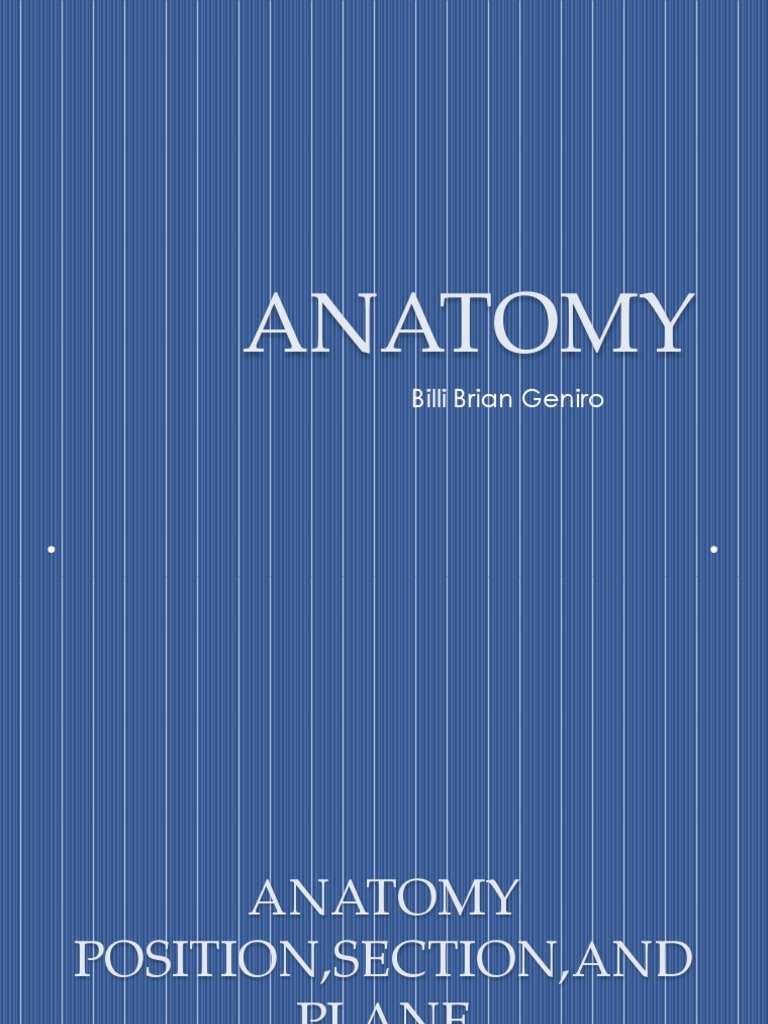 Anatomy: Positions, Sections, and Directions | PDF