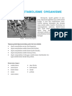 Proses Metabolisme Organisme_materi_kelas_12_biologi.pdf