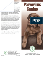 Parvo Brochure Spanish