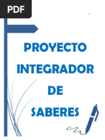 Proyecto Integrador de saberes