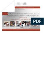 perfiles parametros e indicadoresPROMOCION_DIRECCION_EMS_2018_19012018.pdf