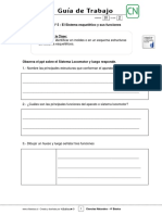 4basico - Guia Trabajo Ciencias - Semana 20