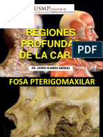 Regiones Profundas de La Cara II PDF