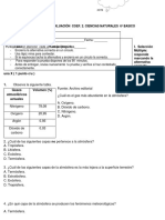 Prueba Coef 2 Ciencias Sexto Basico